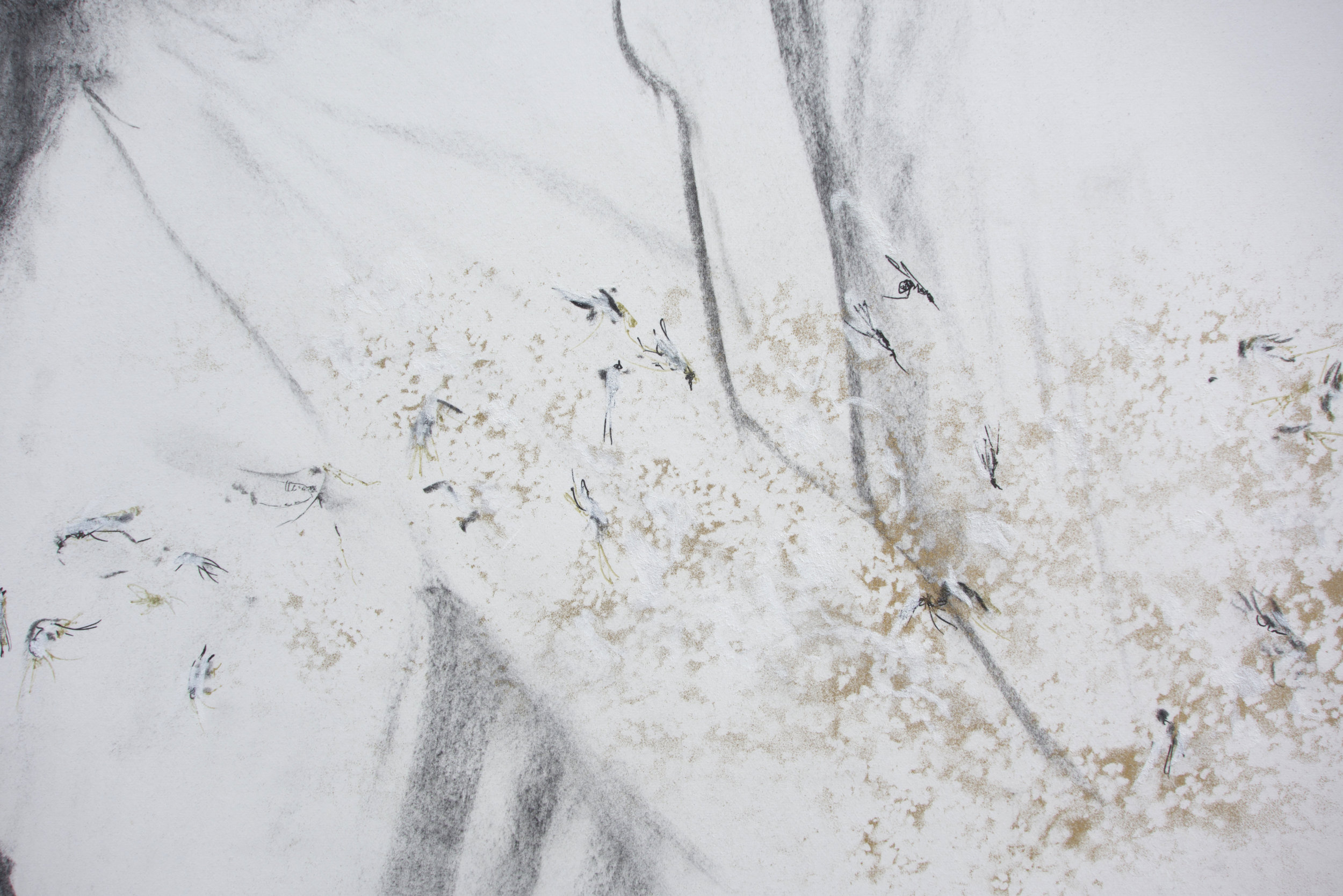 Detail of Prep, 2017