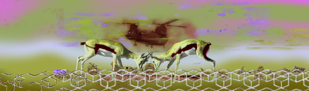 BUTTING GAZELLES