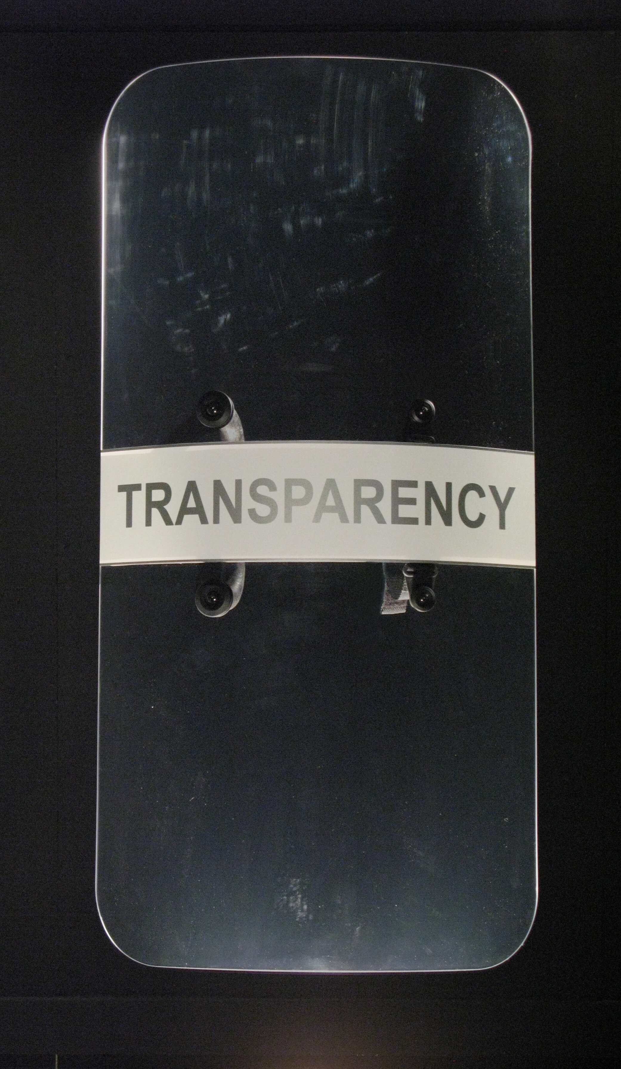 TRANSPARENCY 2009