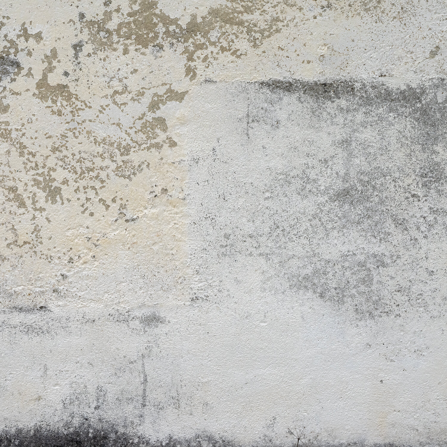 05_Kapelle Selva XII_A4_DSC3711_from raw.jpg