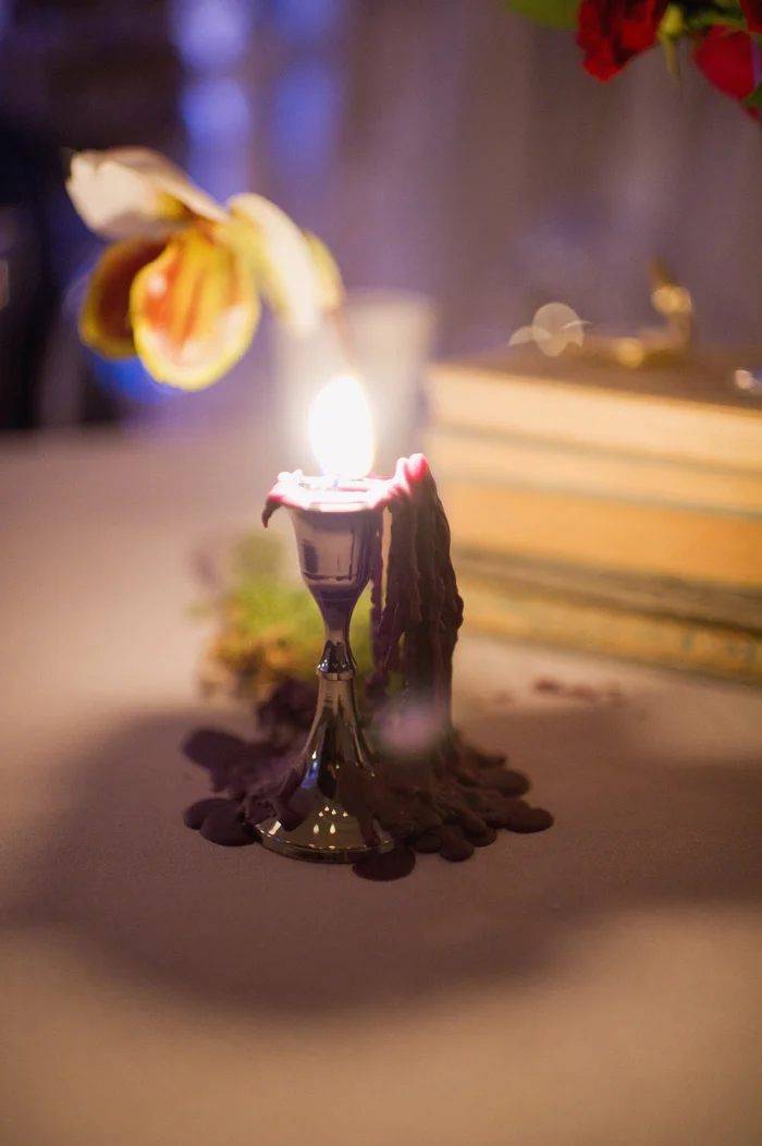Enchanted Party-00320-lr.jpg