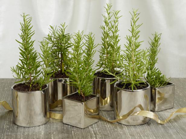 christmas-holiday-centerpiece-ideas-rosemary-trees-unique