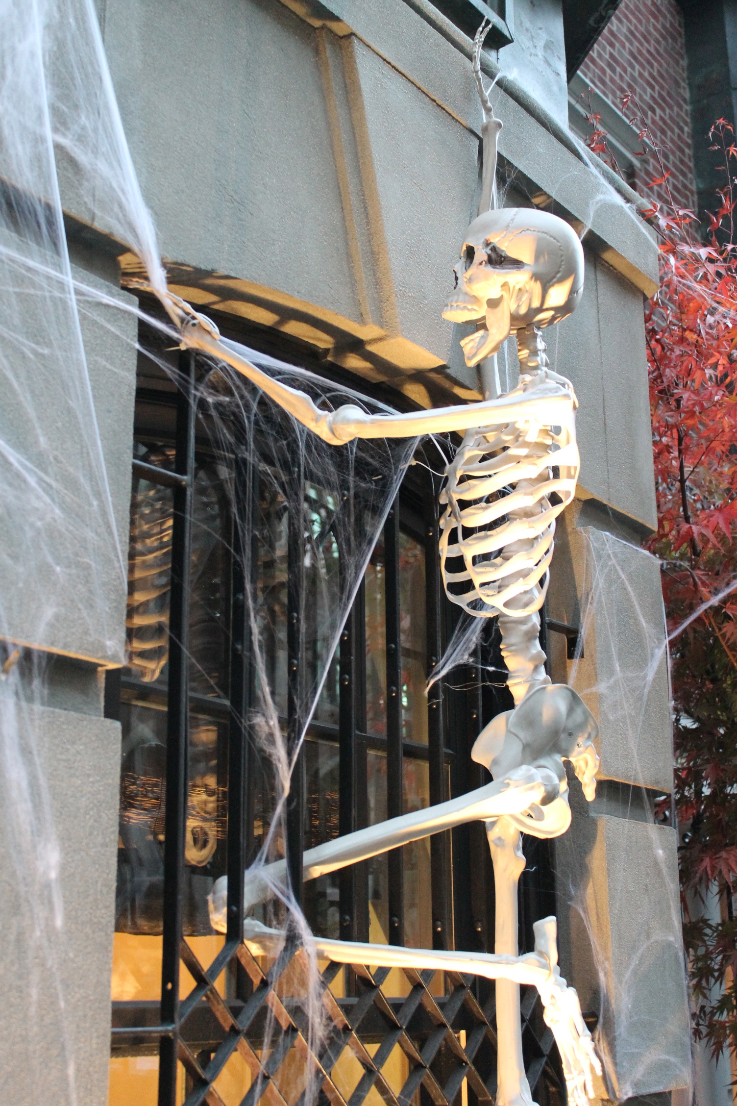Halloween-townhouse-event-party