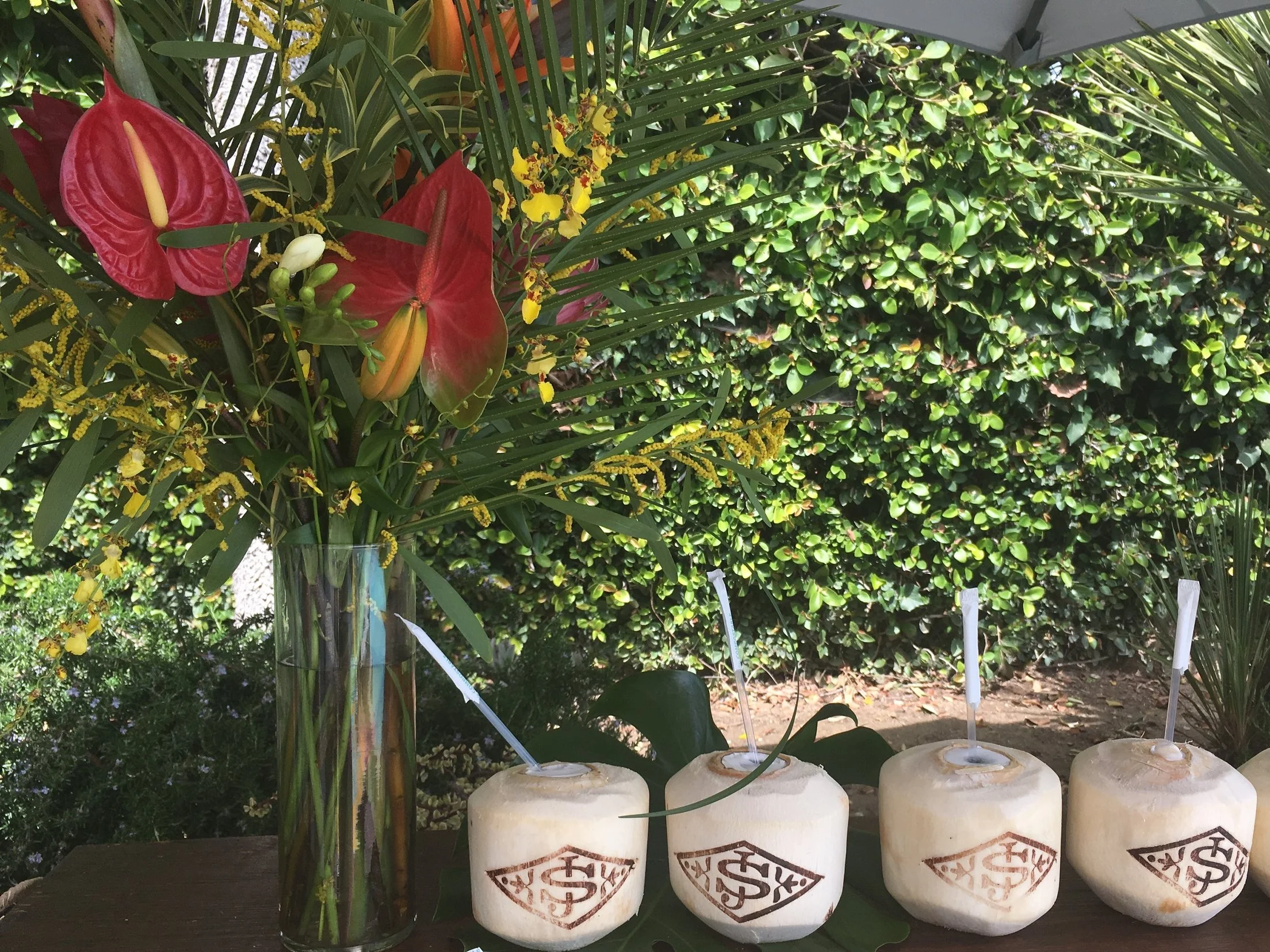 sol-de-janeiro-event-coconut
