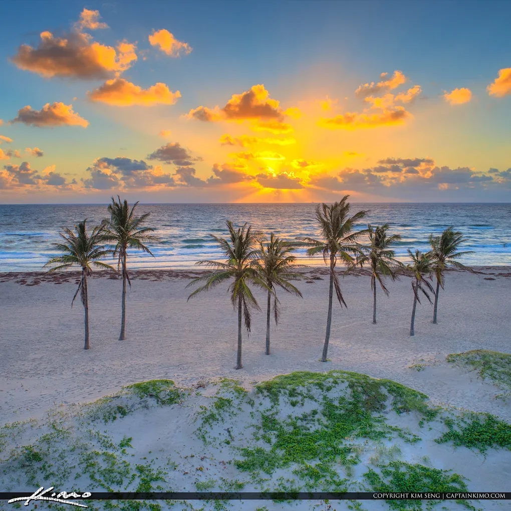 singerisland.webp