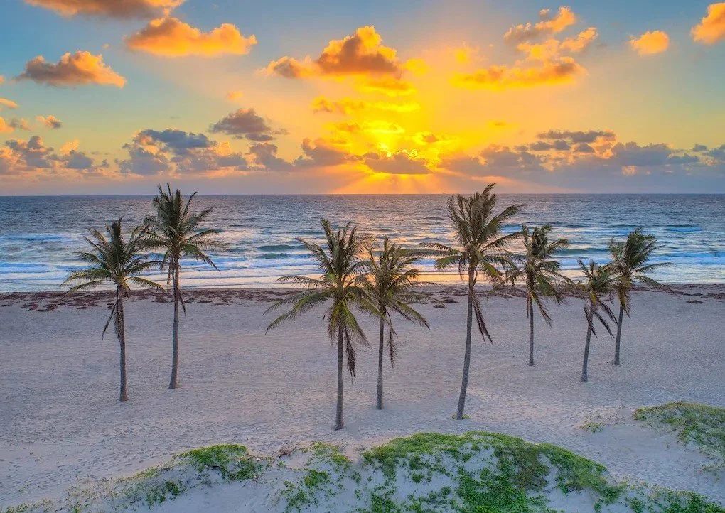 singerisland2.jpg