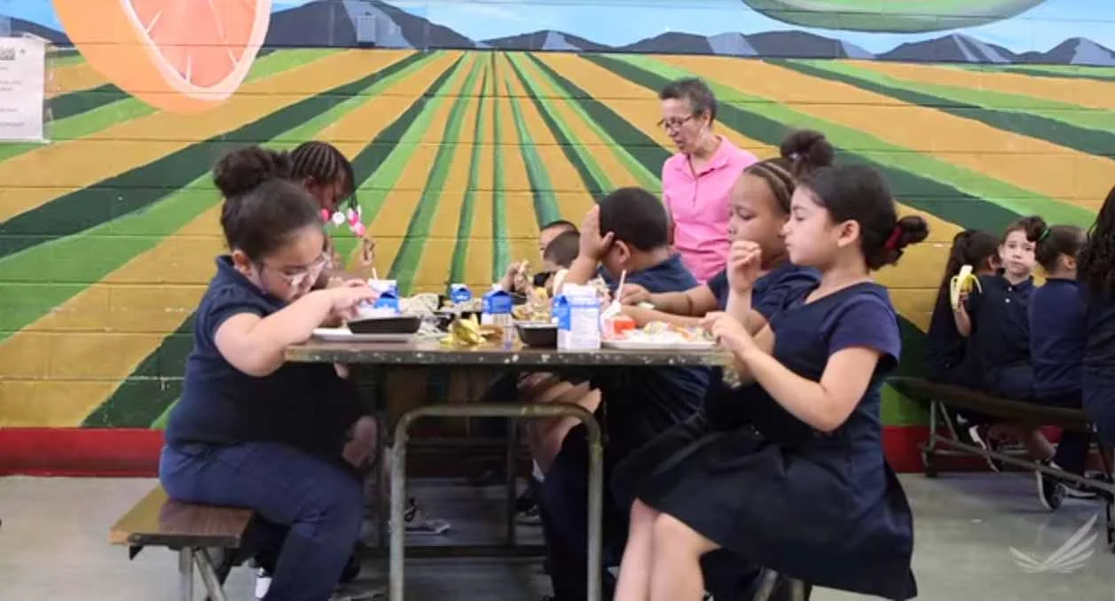 TedMed: schools, nutrition and child obesity.