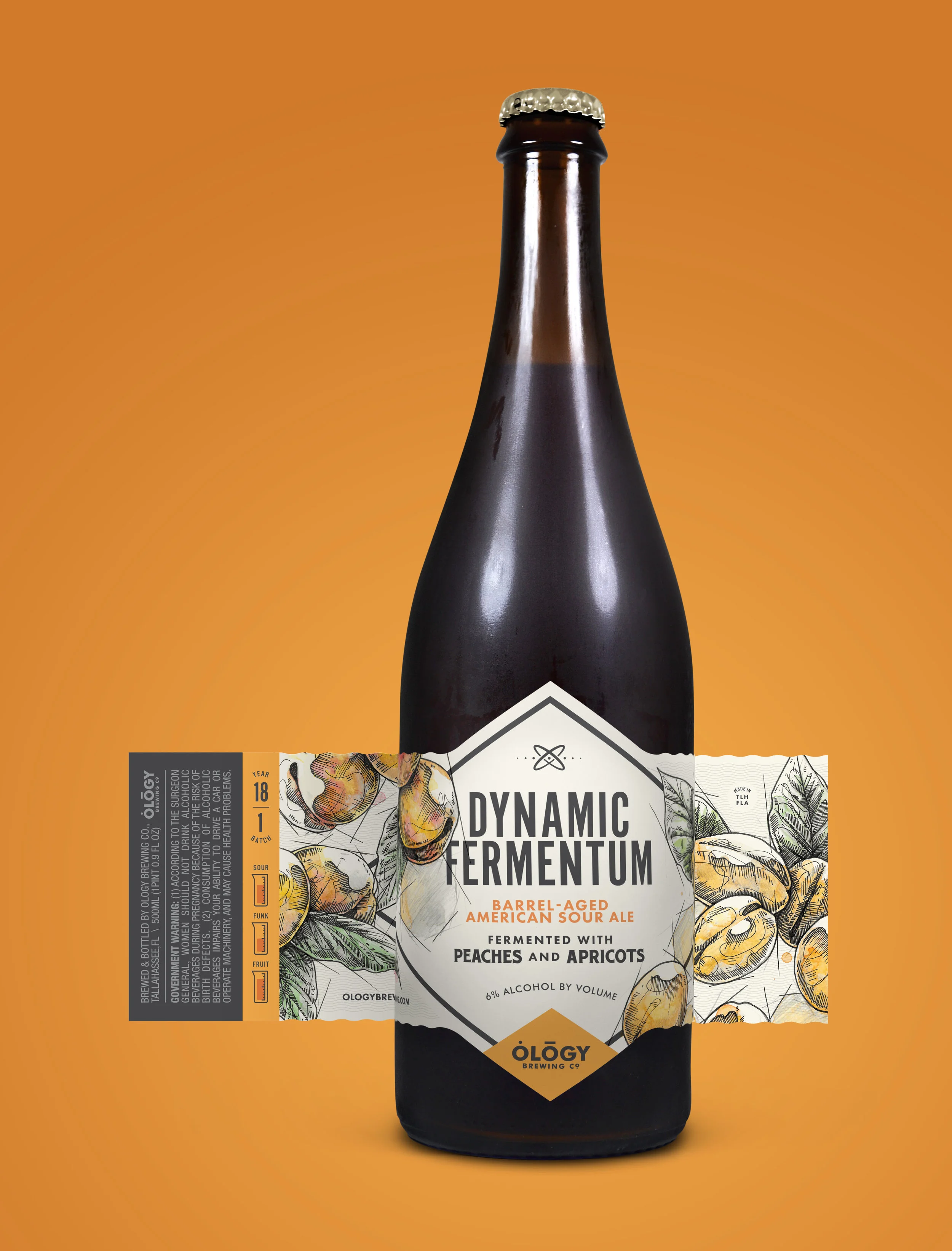 Dynamic Fermentum