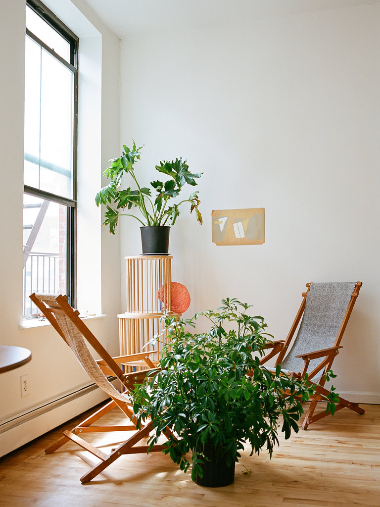 First thing I'm doing when I get my next apartment is finding greenery. Photo by Brian W. Ferry for NY Times Magazine