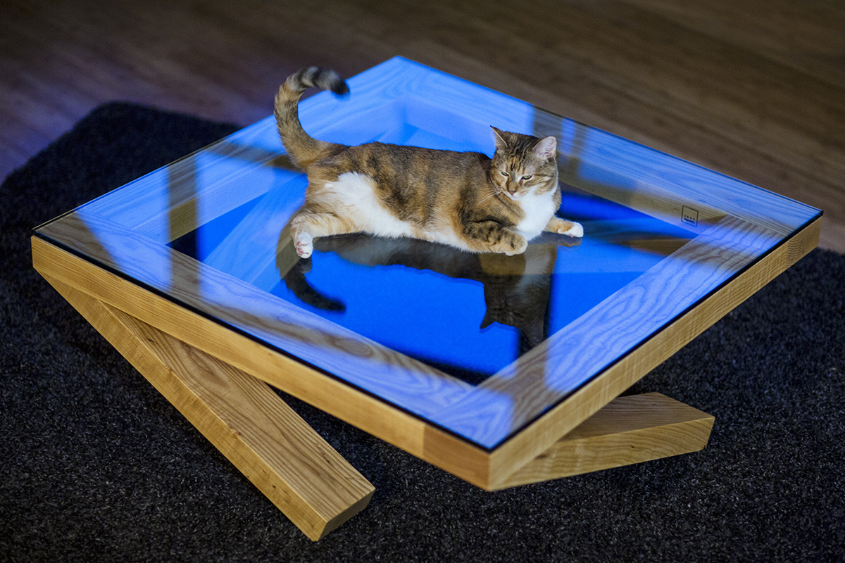 Priya our 3 legged cat hanging out on our new work of art optical illusion table. "It's still got one leg at each of the four corners, so the weight is evenly distributed," Jose tells me.