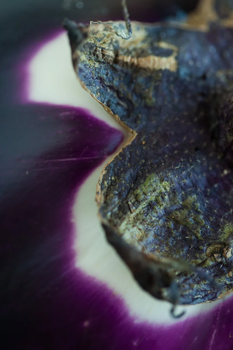 BlueFood-5542.jpg