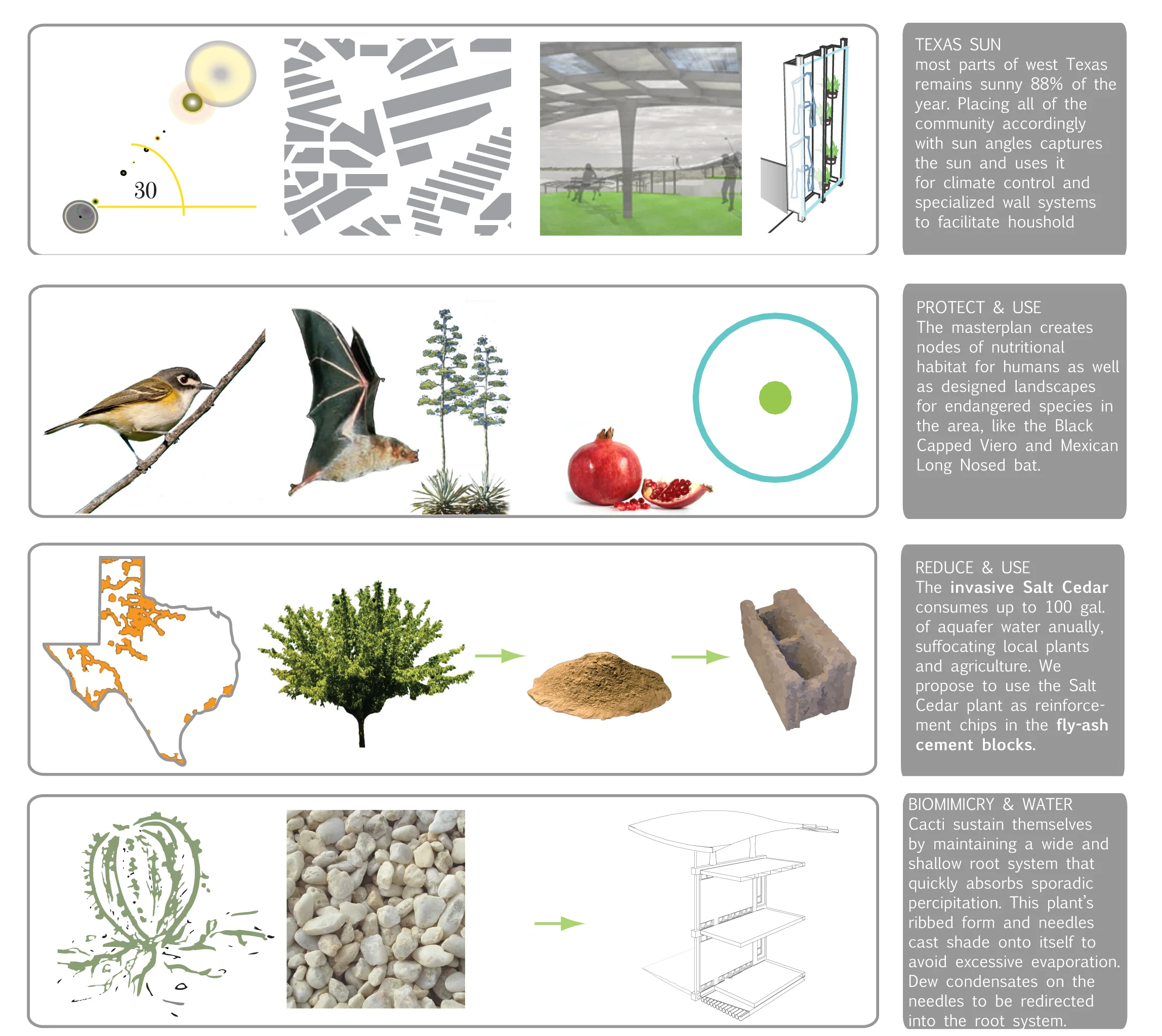ecological concepts.jpg