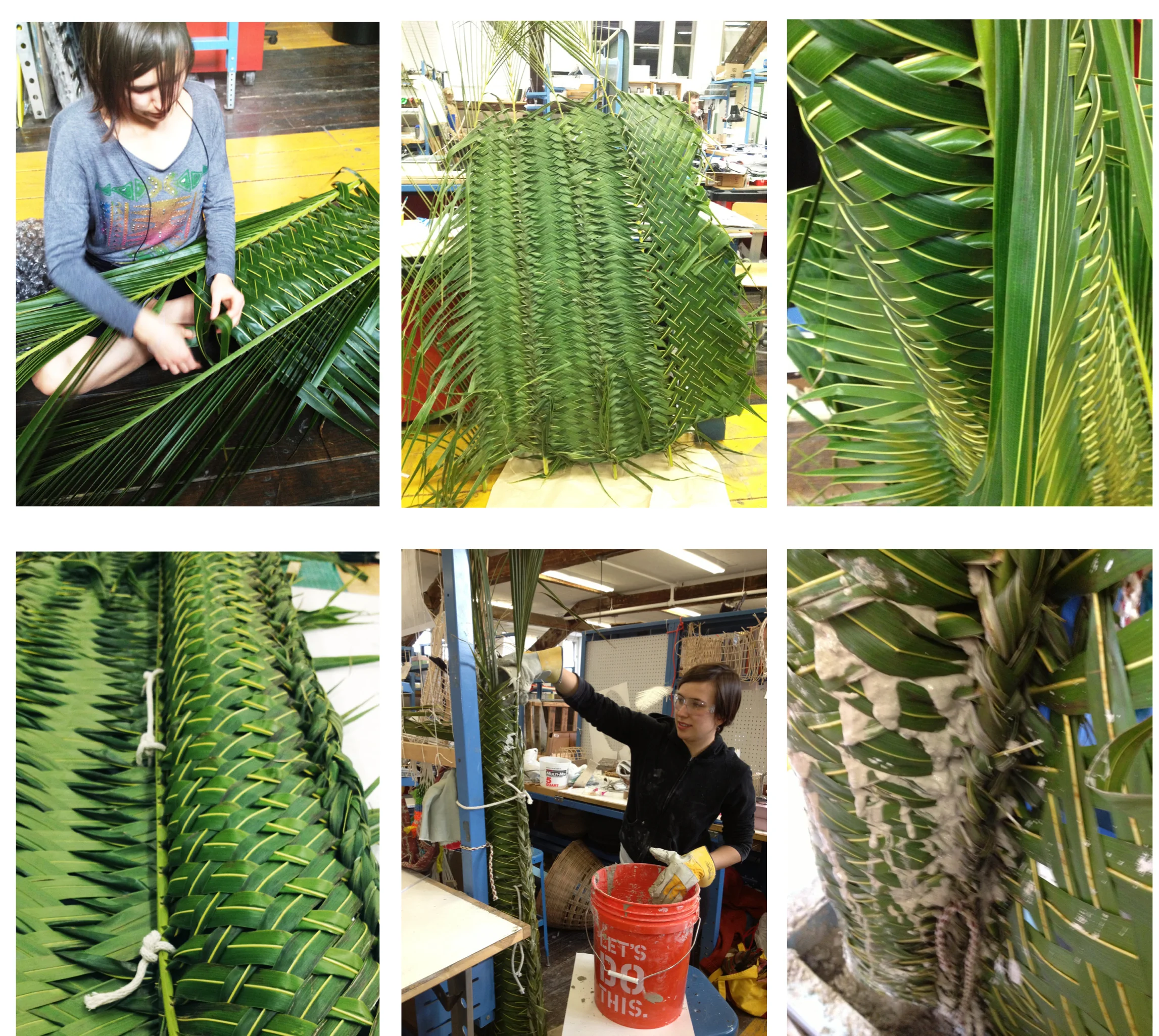 palm frond.jpg