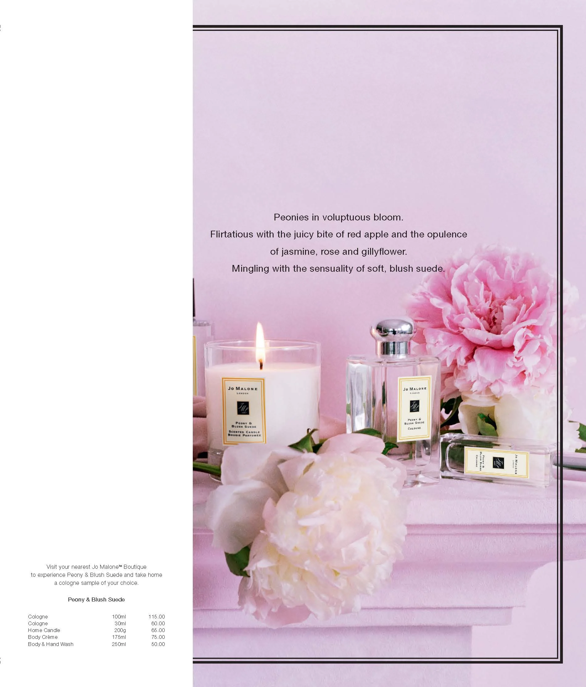 ELauder_Vogue-Instyle-Elle_9.5x11.125_V5-retailer tag Vanity Fair US-FINAL_Page_1.jpg