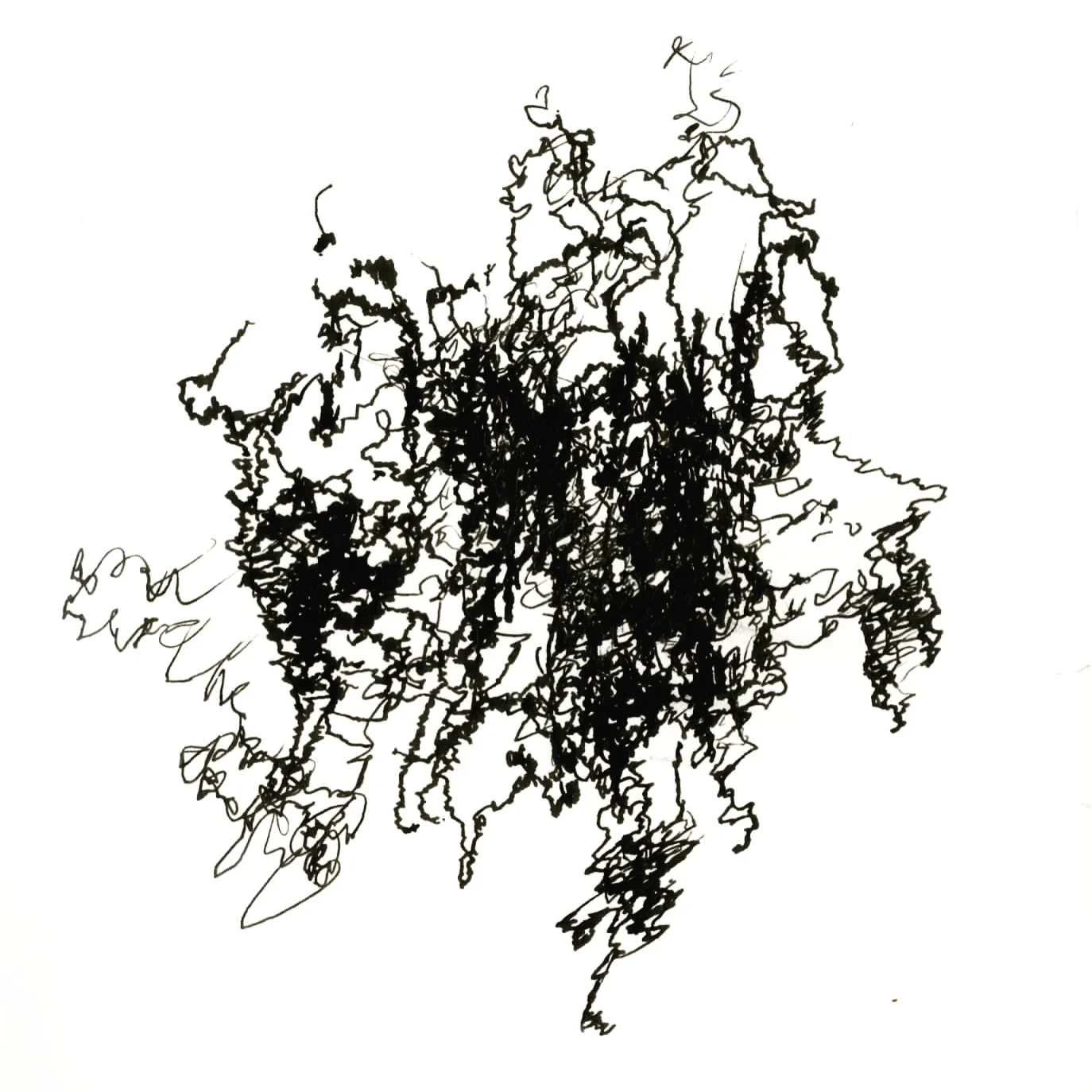  The Grapevine (1 hr 17 mins)  5 x 8.25 in x 13 x 21 cm  ink on paper  2017 