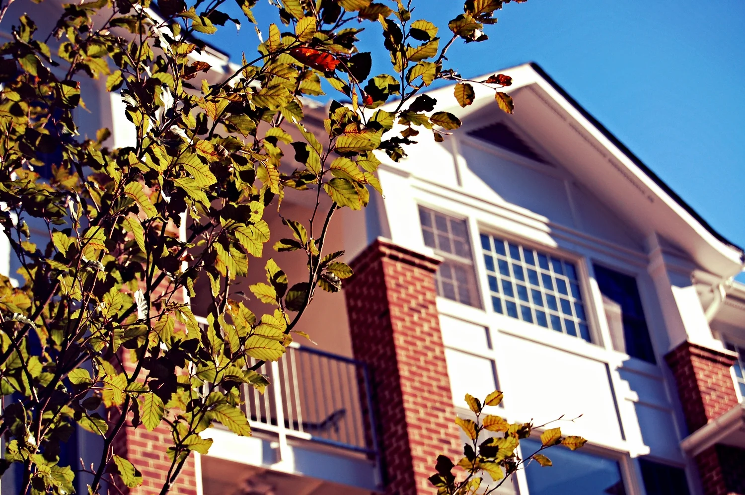 Jefferson Commons: Charlottesville, Virginia
