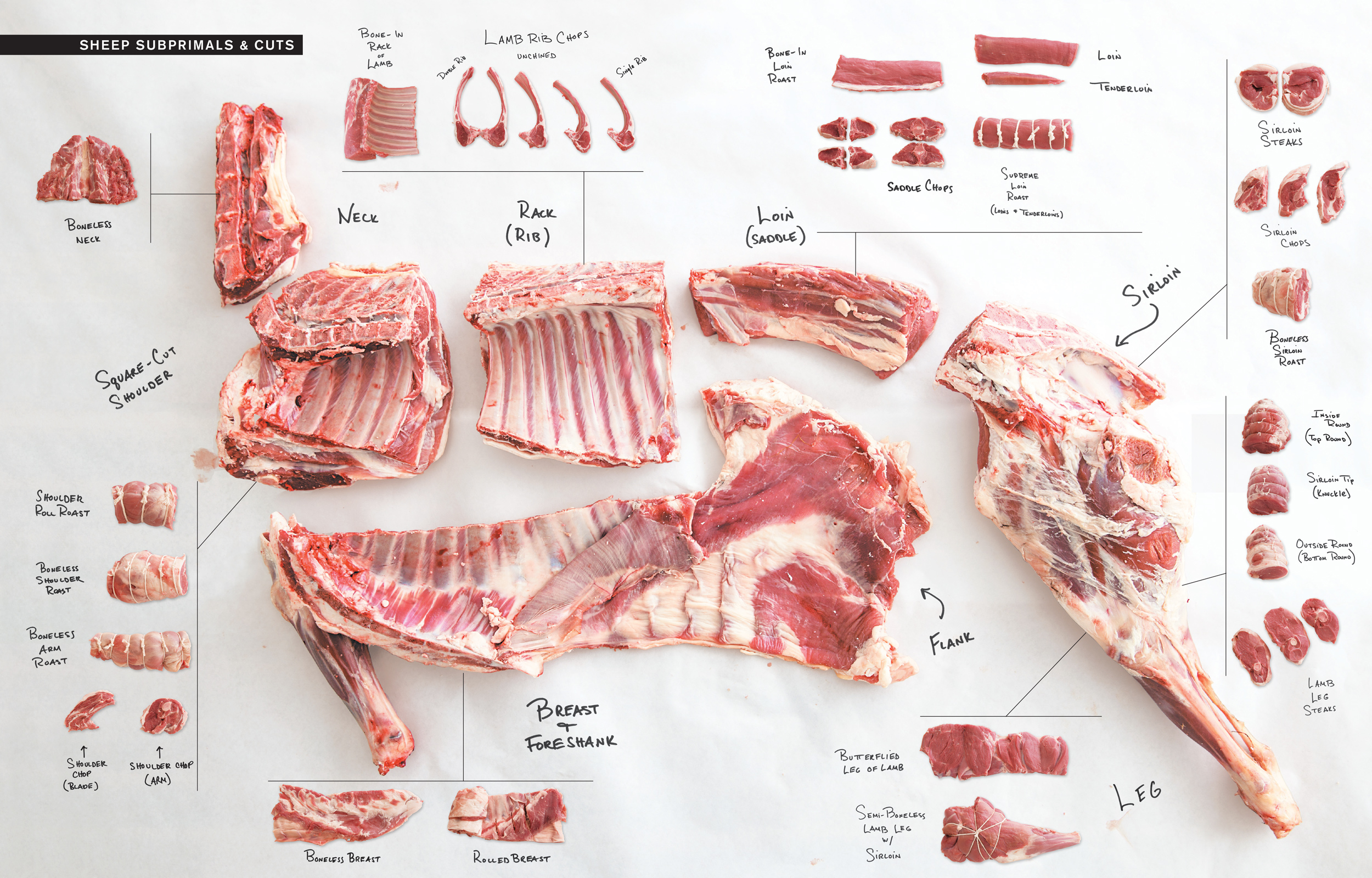 How To Butcher A Lamb Chart