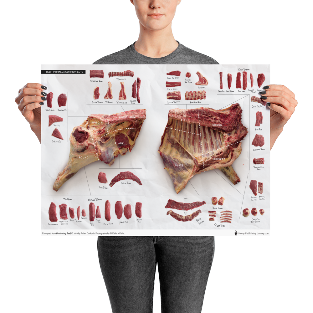 Danforth-Butchery-Meat-Map-Posters---4x3---Flattened---Beef.tif_mockup_Person_Person_18x24.png