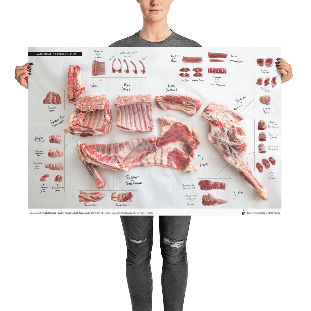Danforth-Butchery-Meat-Map-Posters---Flattened---Lamb_mockup_Person_Person_24x36.png