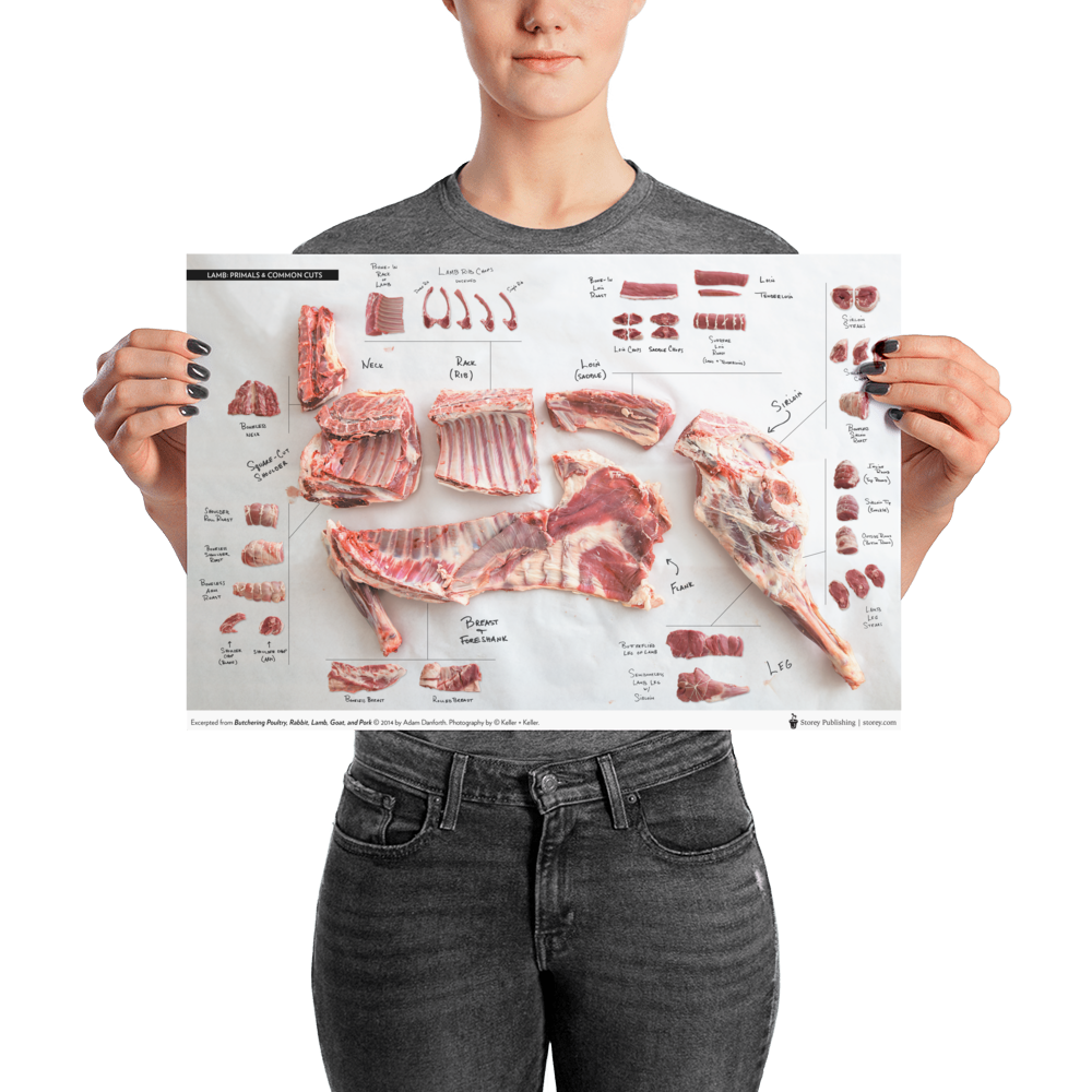 Danforth-Butchery-Meat-Map-Posters---Flattened---Lamb_mockup_Person_Person_12x18.png