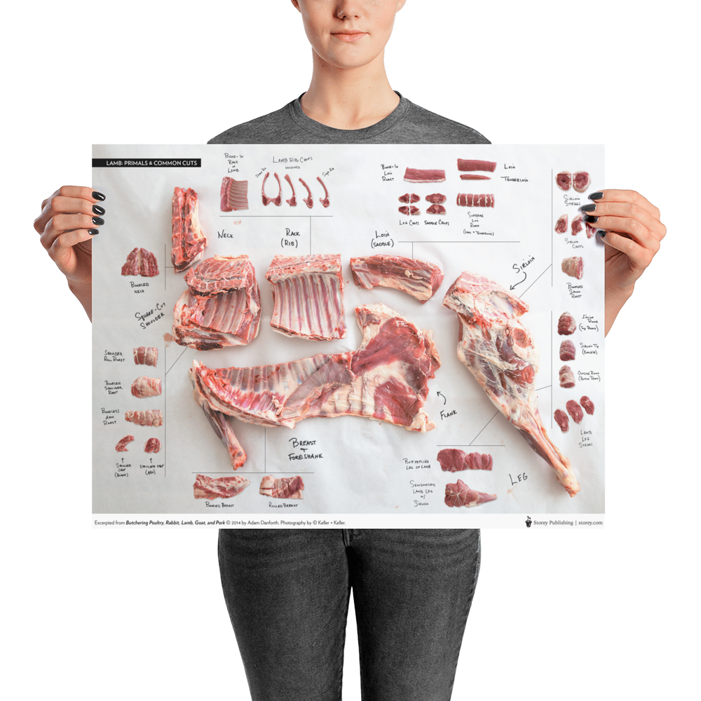 Danforth-Butchery-Meat-Map-Posters---4x3---Flattened---Lamb.tif_mockup_Person_Person_18x24.png