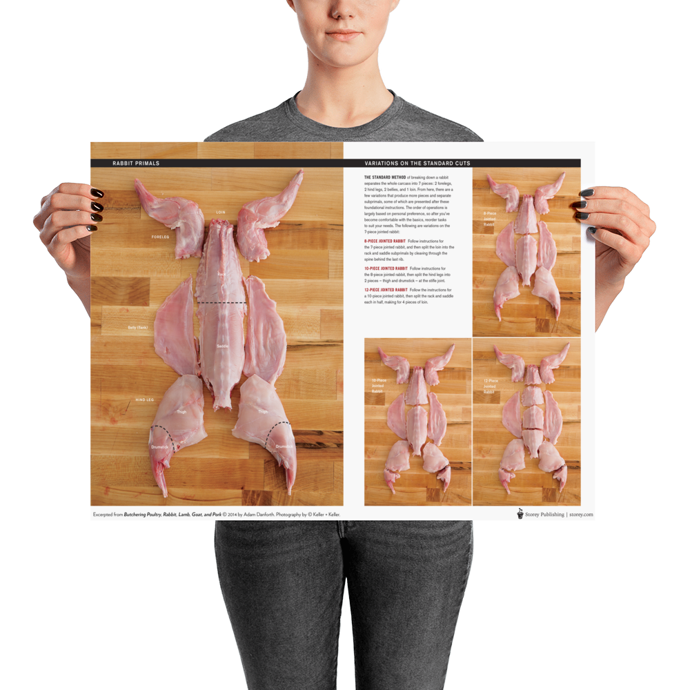 Danforth-Butchery-Meat-Map-Posters---4x3---Flattened---Rabbit.tif_mockup_Person_Person_18x24.png