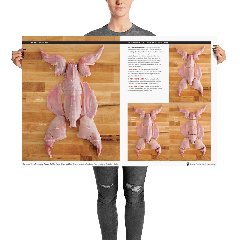 Danforth-Butchery-Meat-Map-Posters---Flattened---Rabbit_mockup_Person_Person_24x36.png