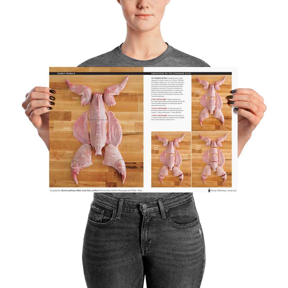 Danforth-Butchery-Meat-Map-Posters---Flattened---Rabbit_mockup_Person_Person_12x18.png