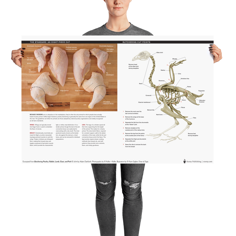 Danforth-Butchery-Meat-Map-Posters---Flattened---Chicken_mockup_Person_Person_24x36.png