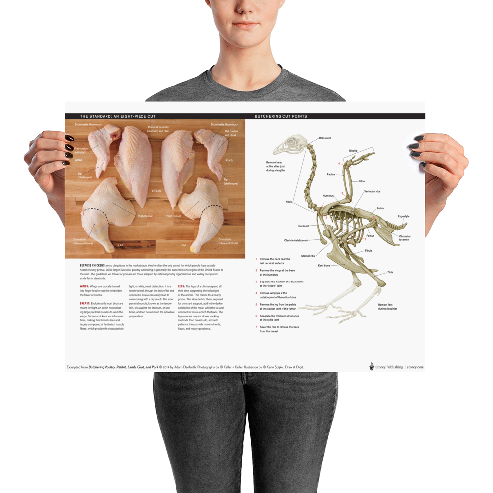 Danforth-Butchery-Meat-Map-Posters---4x3---Flattened---Chicken.tif_mockup_Person_Person_18x24.png