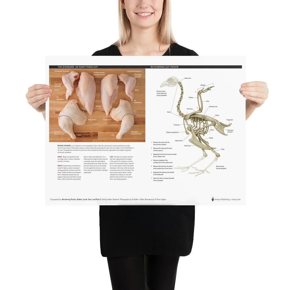 enhanced-matte-paper-poster-(in)-18x24-person-67fea2954ce56.jpg