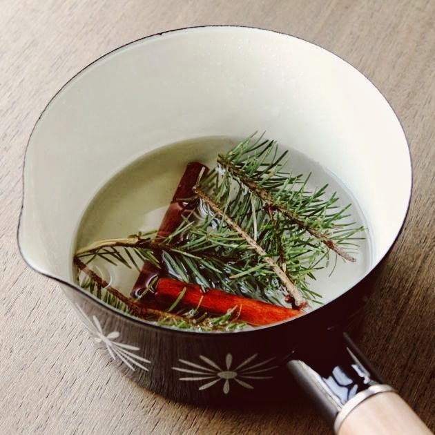 A Winter Recipe | Ways To Make Your Home Smell Like Christmas | How to Make Your Home Smell Nice