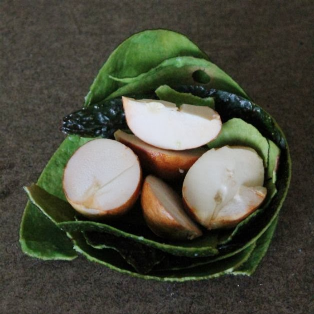 Term Paper: Making Natural Dyes