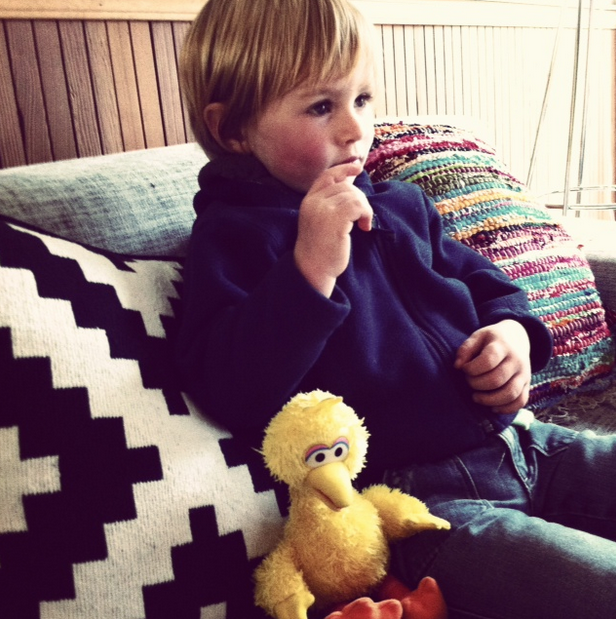 The Case For Big Bird