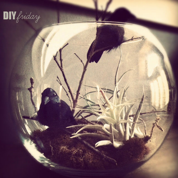 DIY Friday: Flora & Fauna