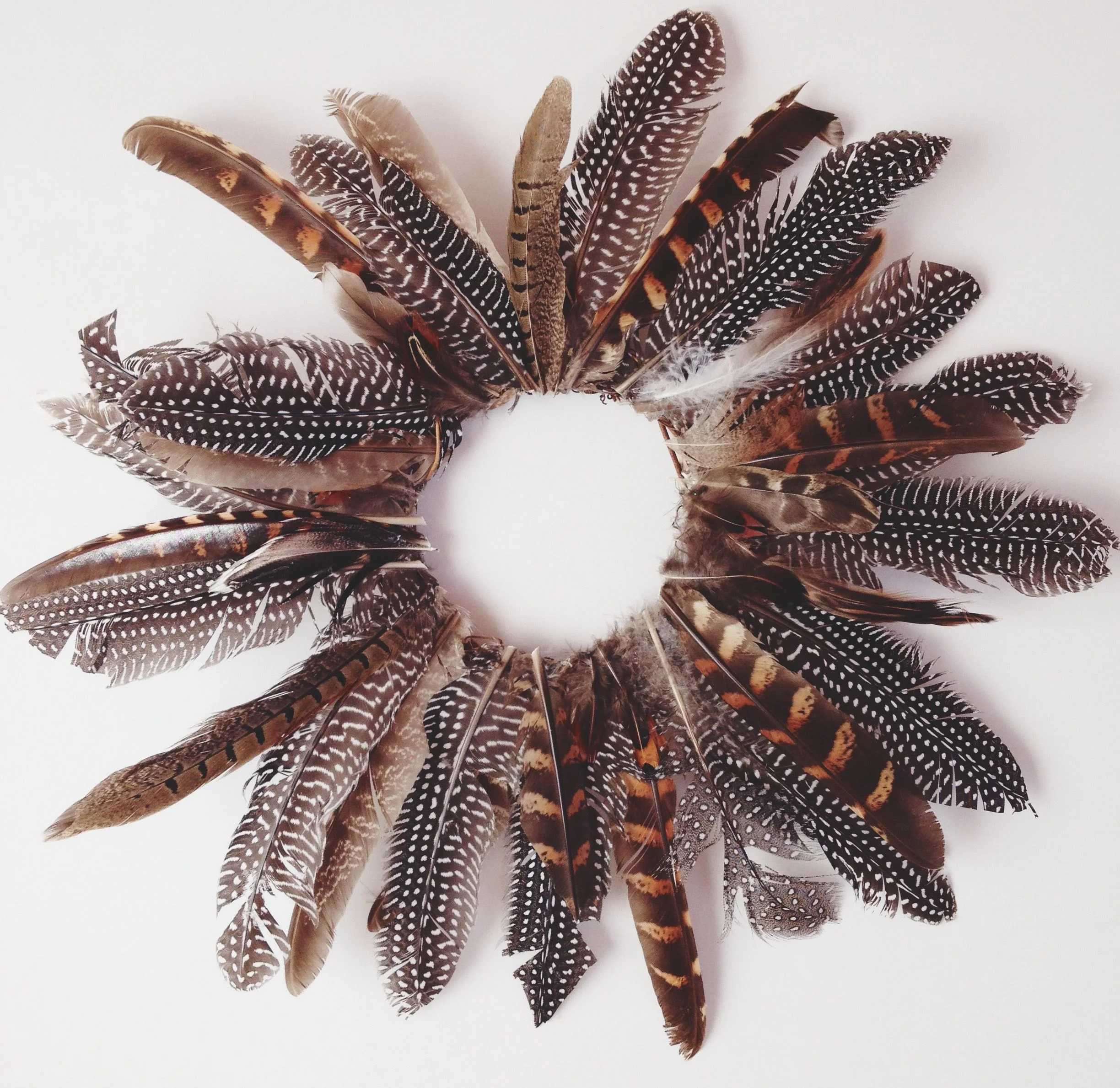 Plume Craft