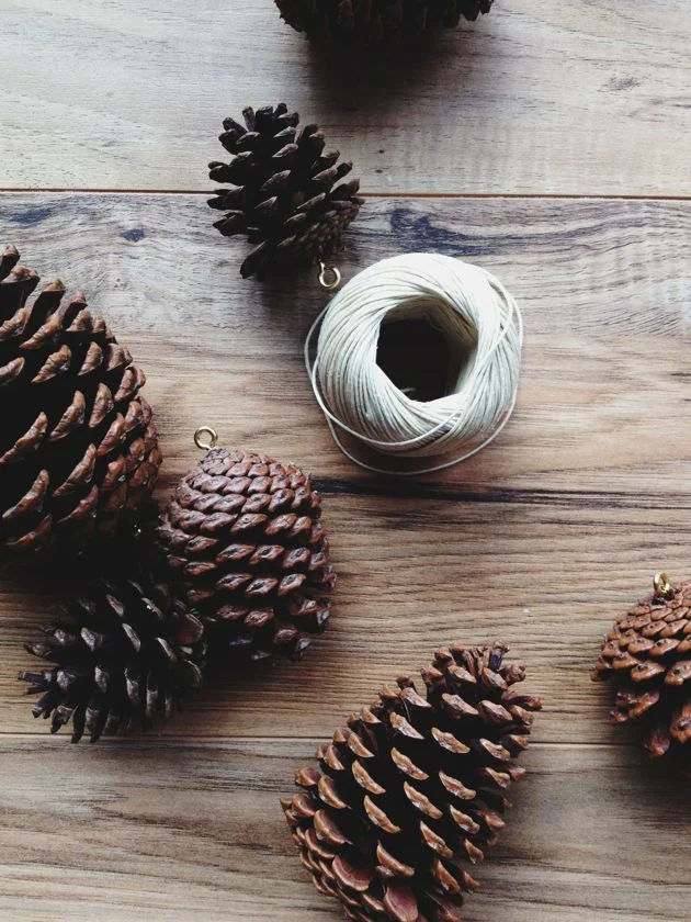 Pinecone Ornaments