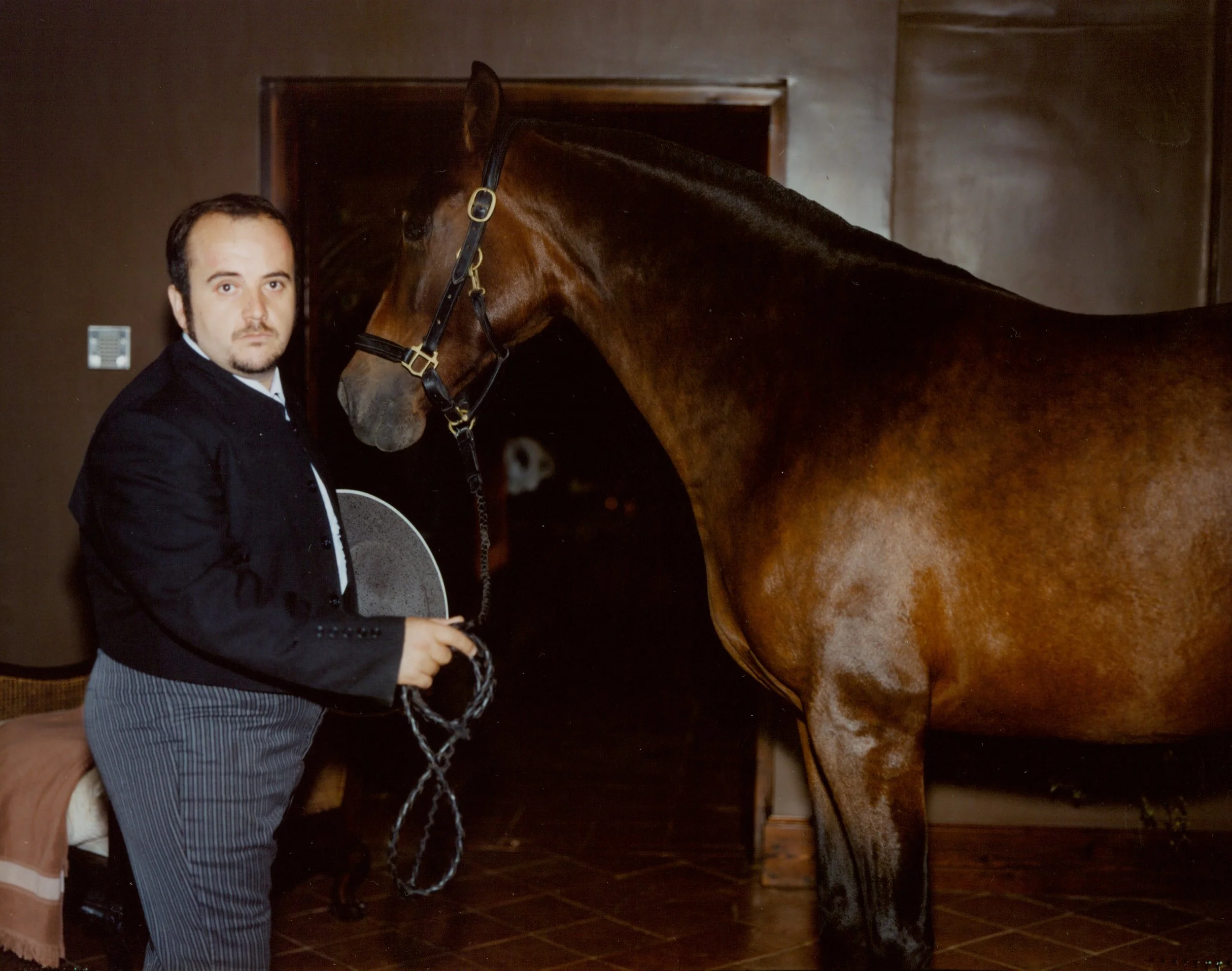 The Horse Trainer, 2003