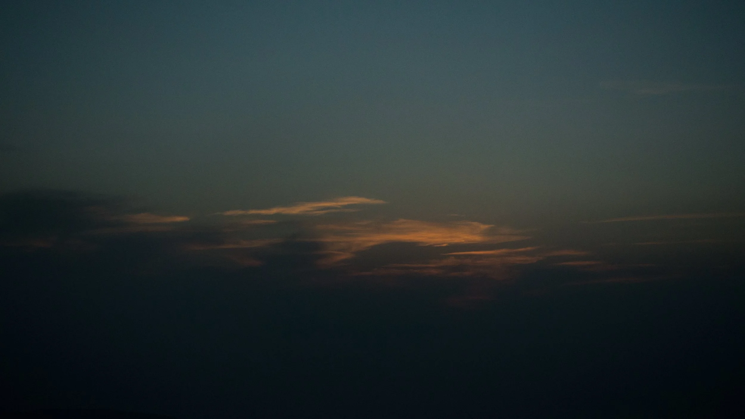 _DSC8520.jpg