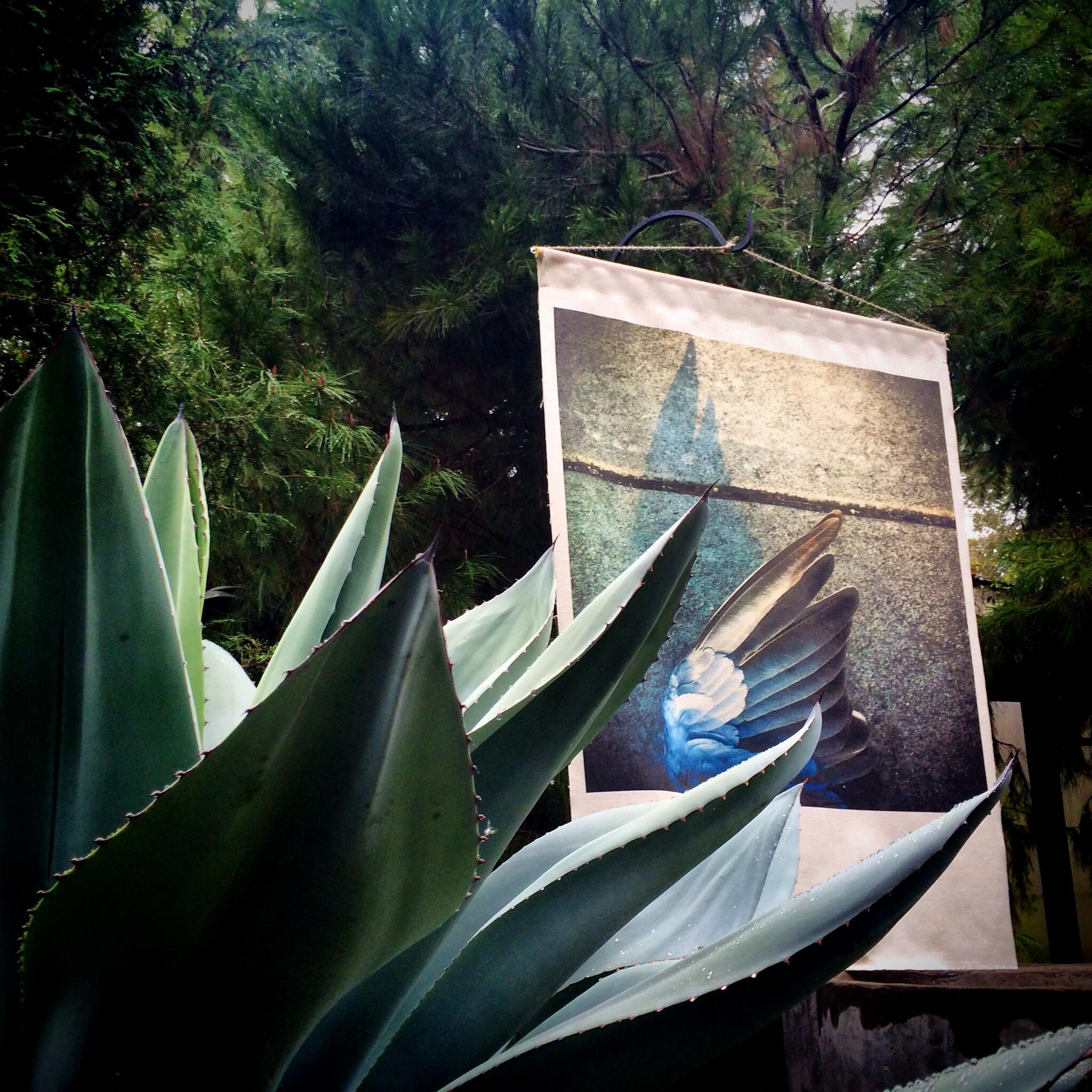 iPhone photograph on Belgian linen, Installation at Utility Research Garden, Austin, Texas ©Nancy Mims