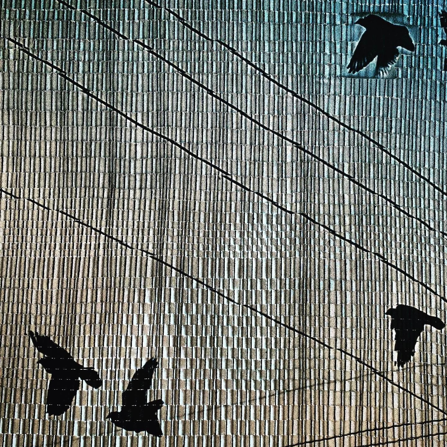 today&rsquo;s weaving progress #theskylooms