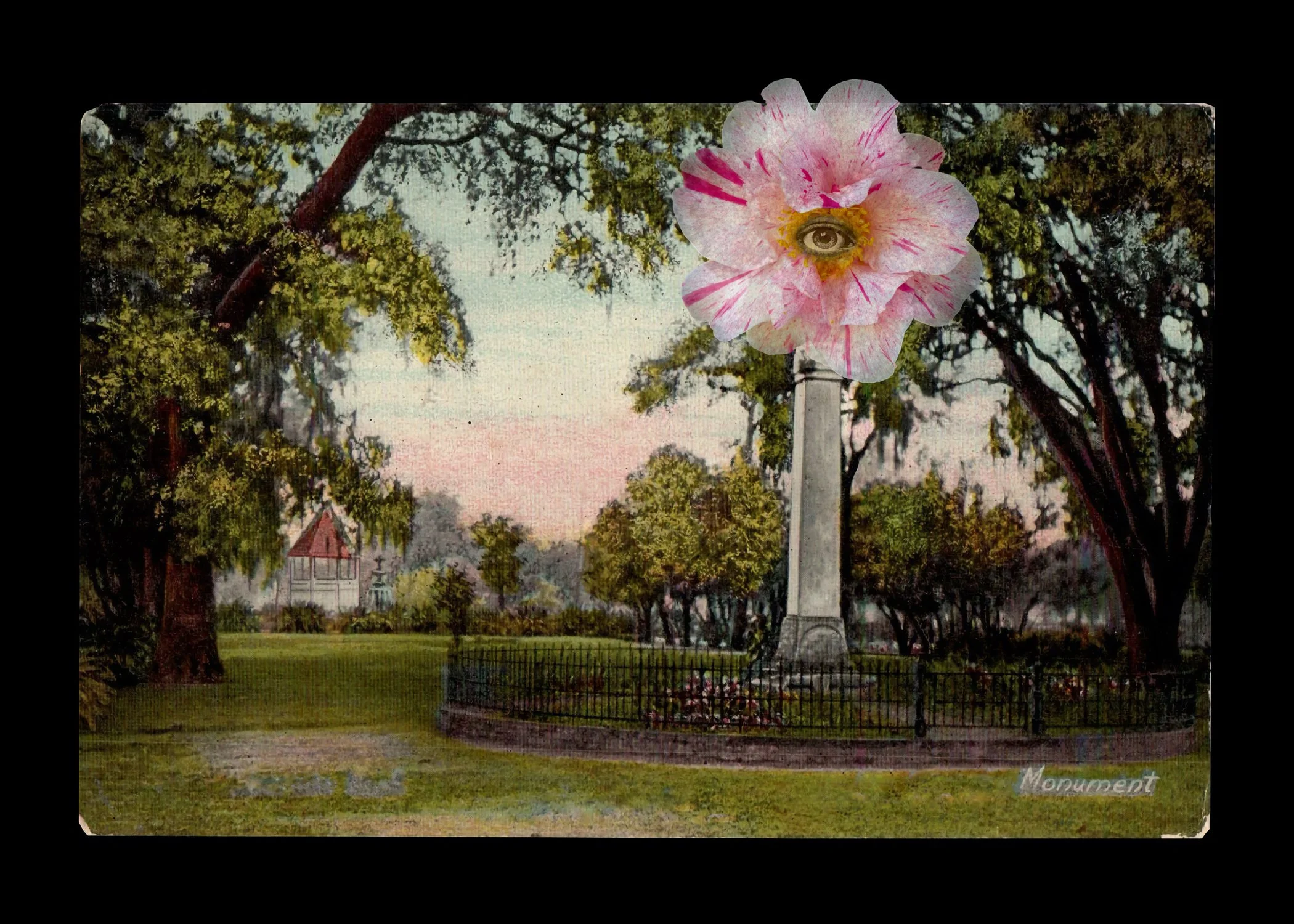  Digital collage: erased antique postcard of early 20th century Lost Cause propaganda, iPhone photograph of flower, eye  ©Nancy Mims  