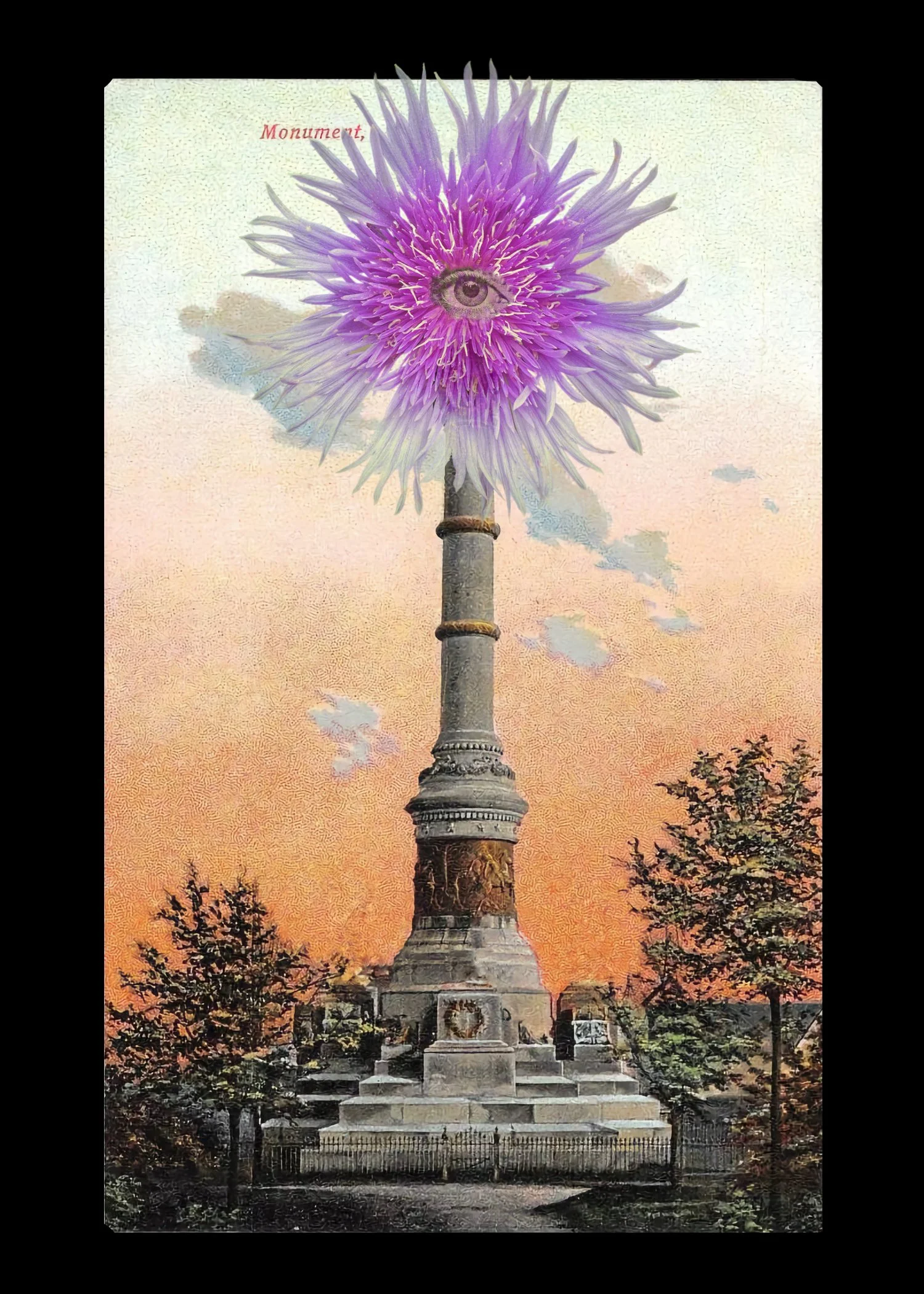  Digital collage: erased antique postcard of early 20th century Lost Cause propaganda, iPhone photograph of flower, eye  ©Nancy Mims  