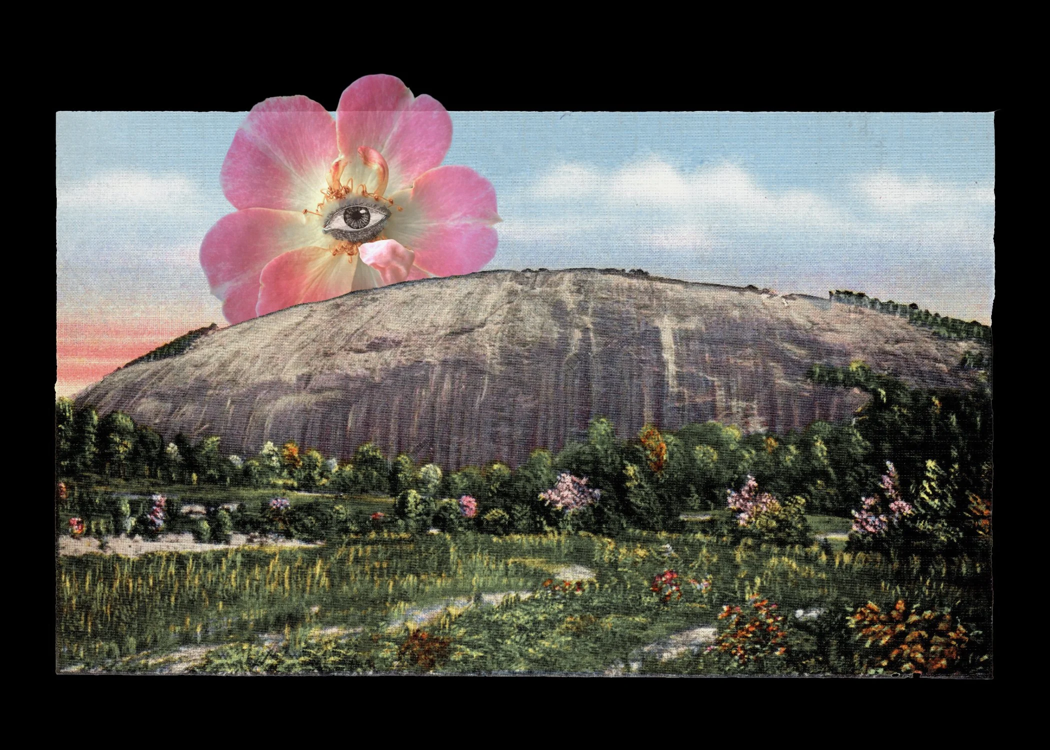  Digital collage: antique postcard of Stone Mountain before it was defaced, iPhone photograph of flower, eye  ©Nancy Mims  
