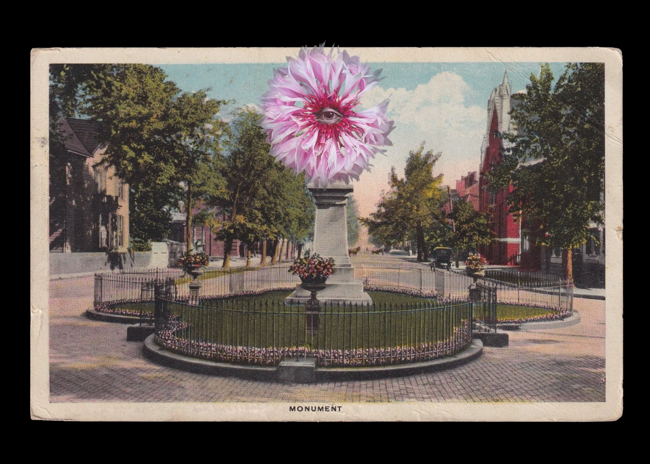  Digital collage: erased antique postcard of early 20th century Lost Cause propaganda, iPhone photograph of flower, eye  ©Nancy Mims  