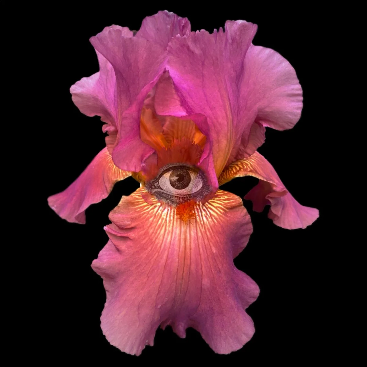 Flower12.jpg