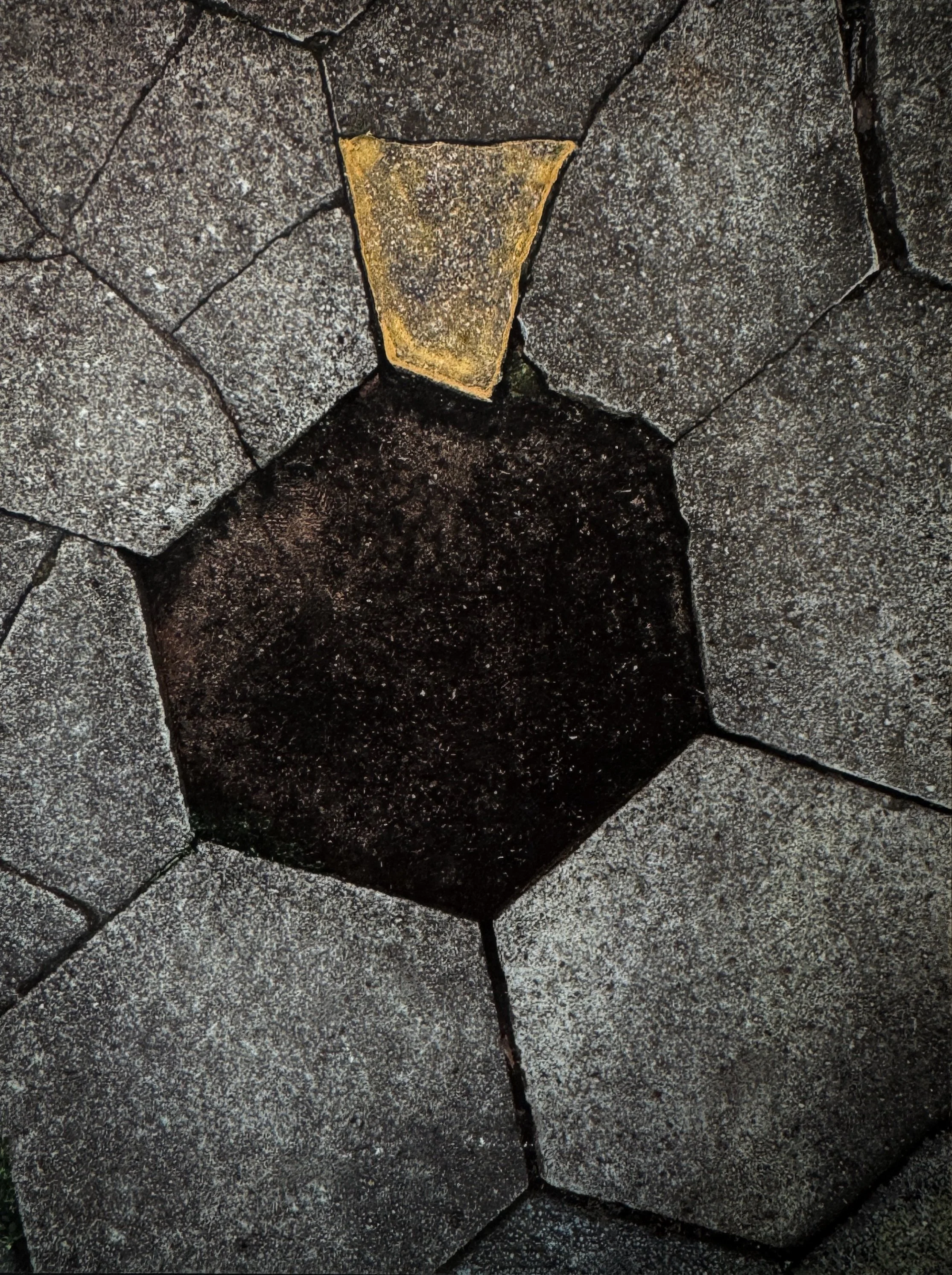  iPhone photograph, giclée print, gold gouache   ©Nancy Mims  