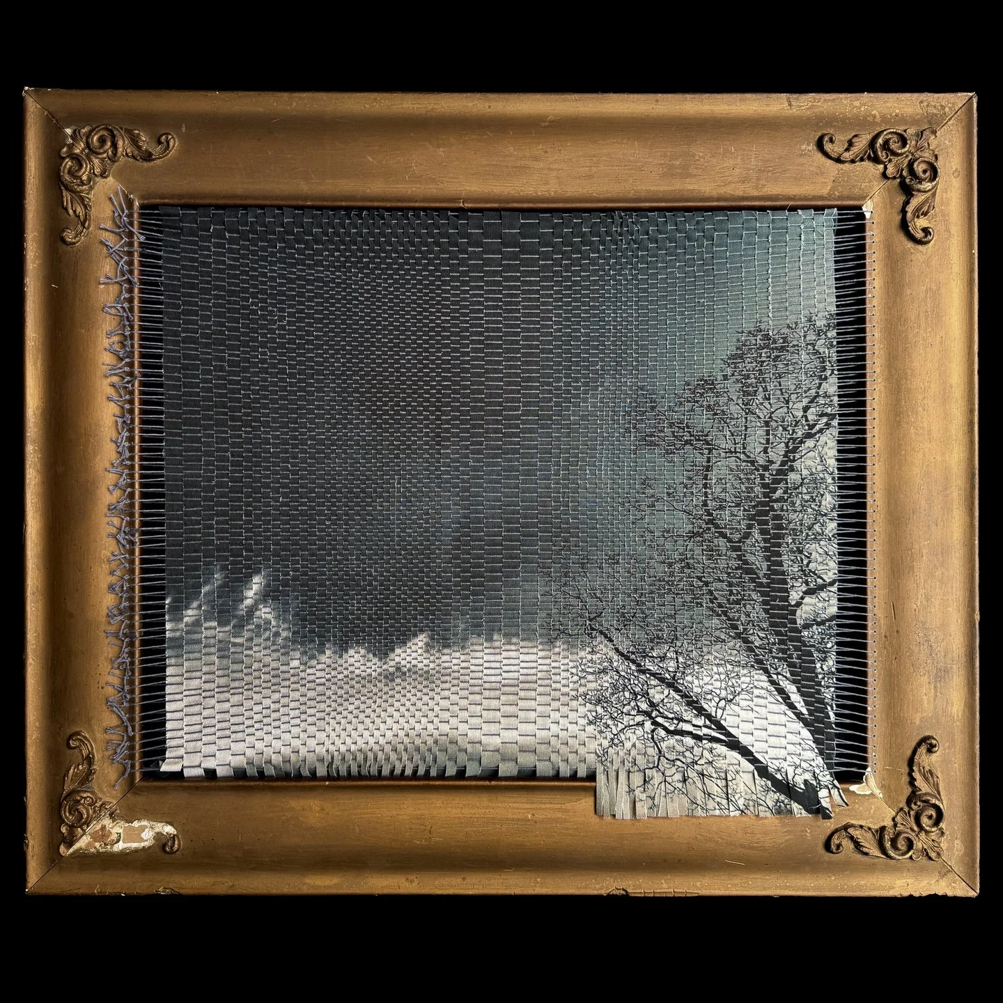TSL20square.jpg