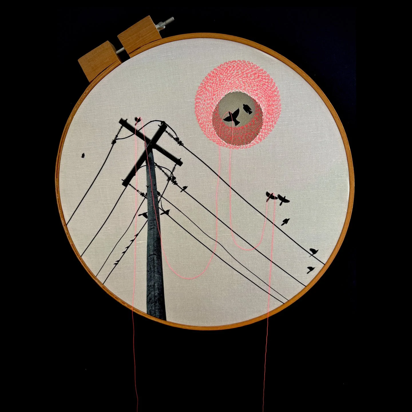  Interconnected  iPhone photograph on linen-cotton cloth, vintage embroidery hoop, embroidery thread   ©Nancy Mims 