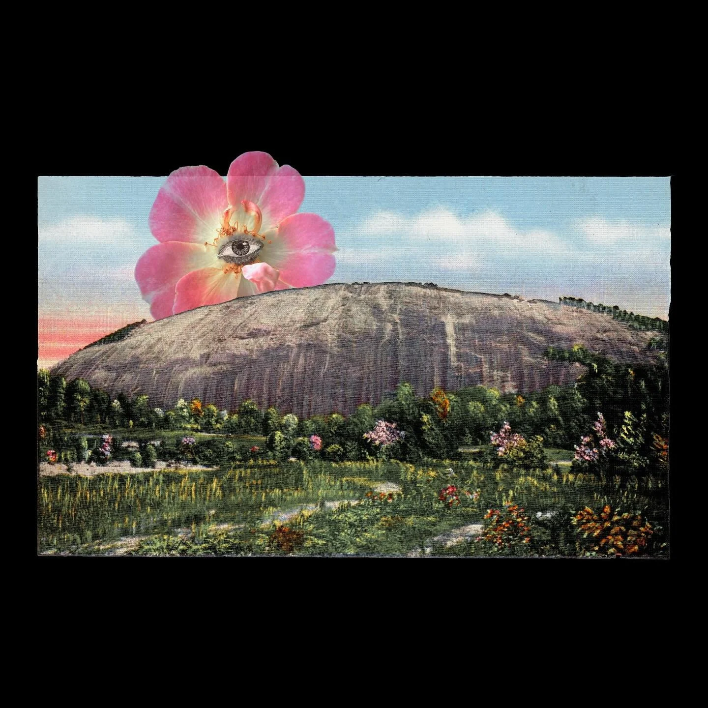 From my project
In Perpetuity: Monumental Flowers of Liberation and Resistance. 

Antique postcard of Stone Mountain before it was defaced. Photograph, digital collage.